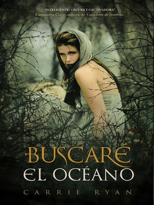 cover image of Buscaré el océano